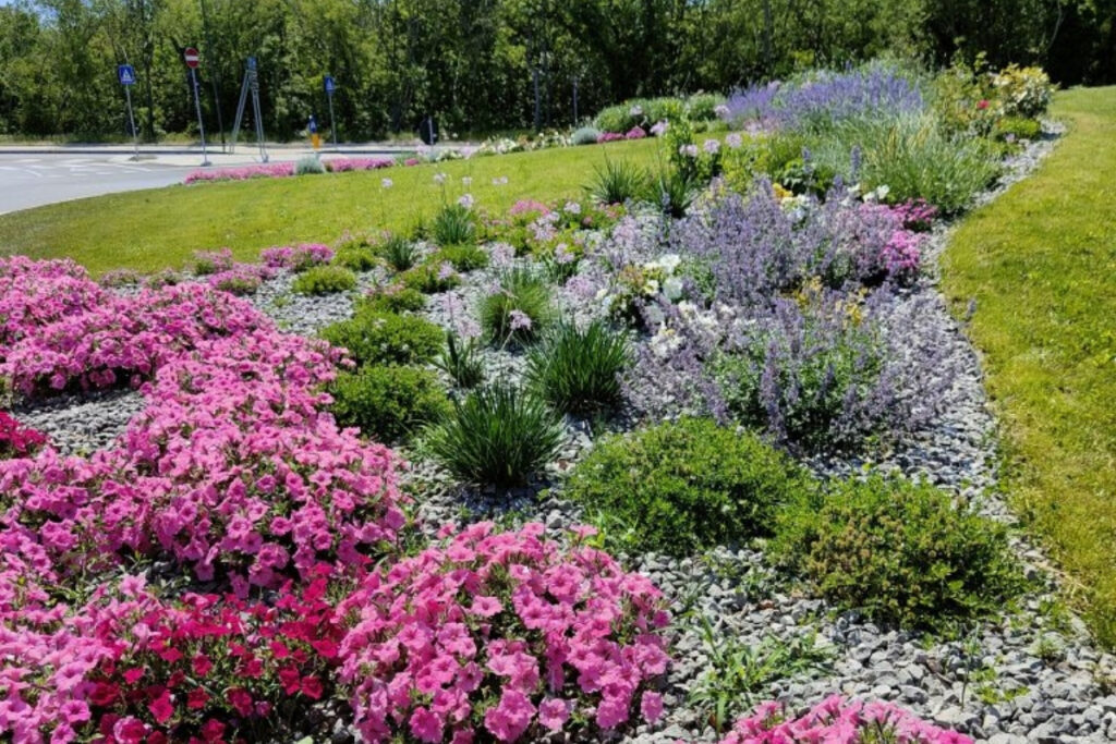 aiuole bordure giardini di paolo (2)