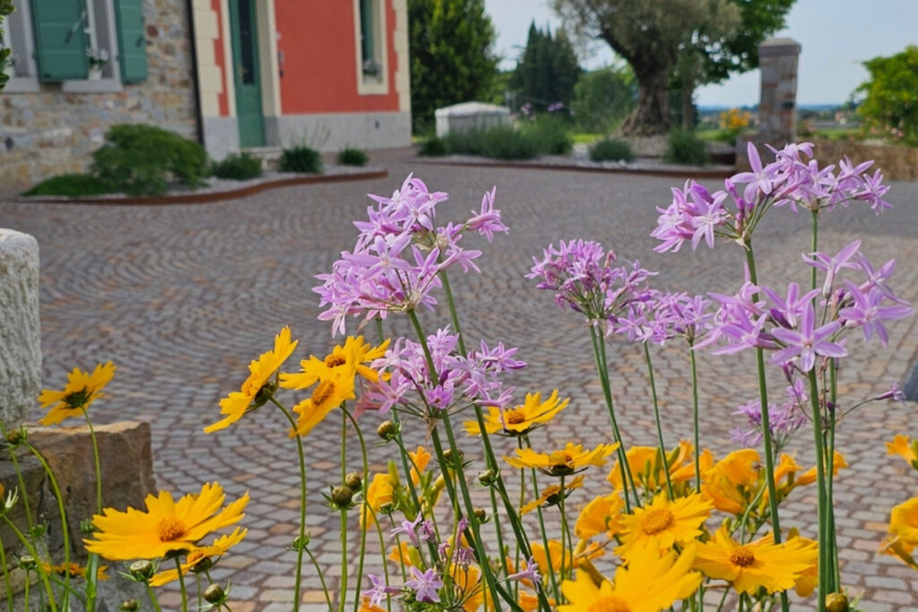 giardini privati su misura