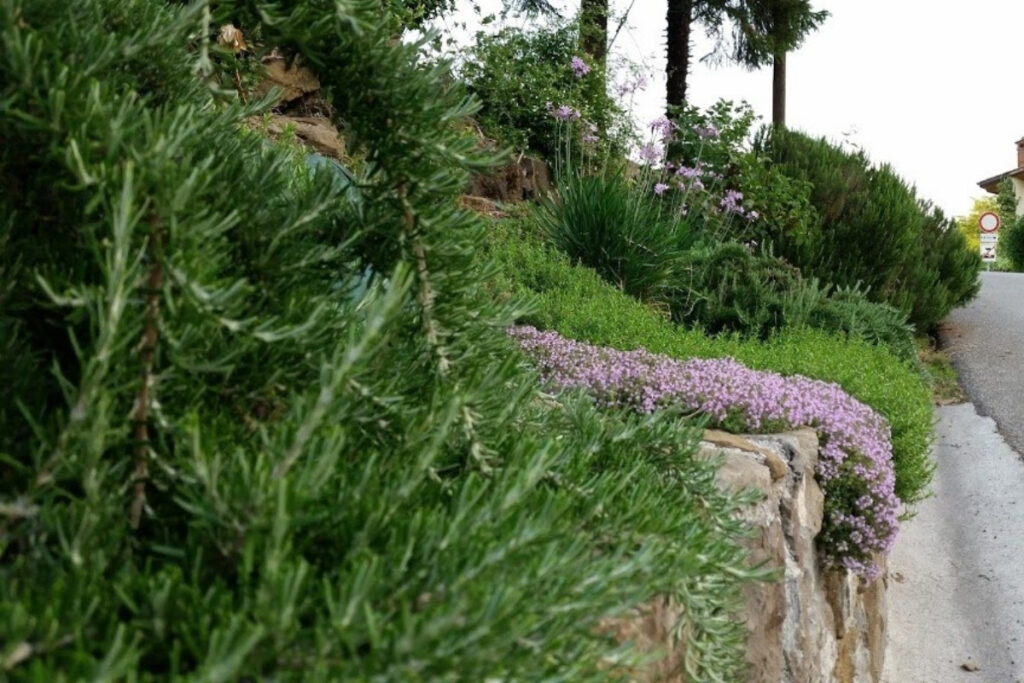 giardini privati su misura